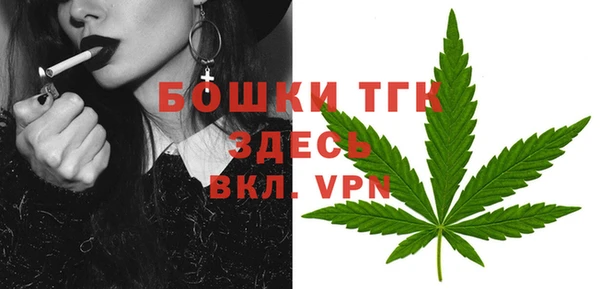 спиды Лагань