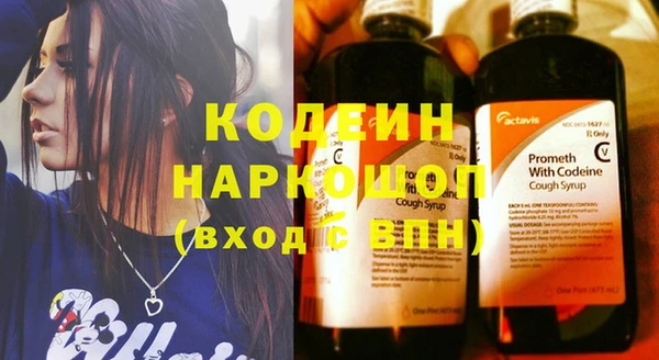 спиды Лагань