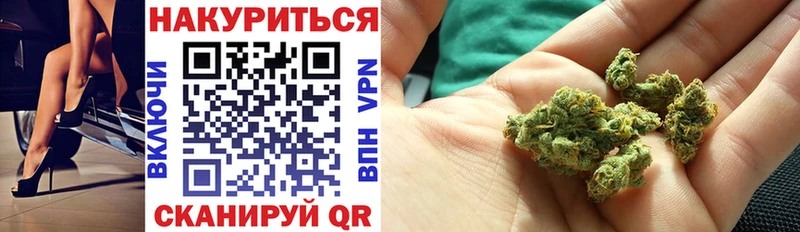 Конопля сатива Подпорожье