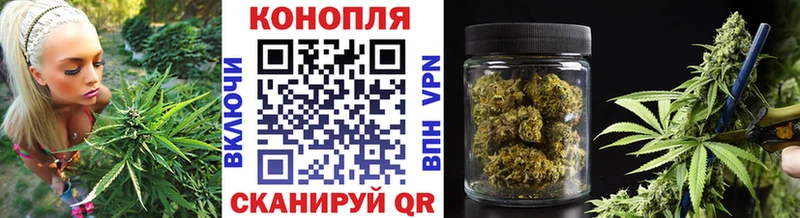 Шишки марихуана марихуана  где найти   кракен ССЫЛКА  Подпорожье 